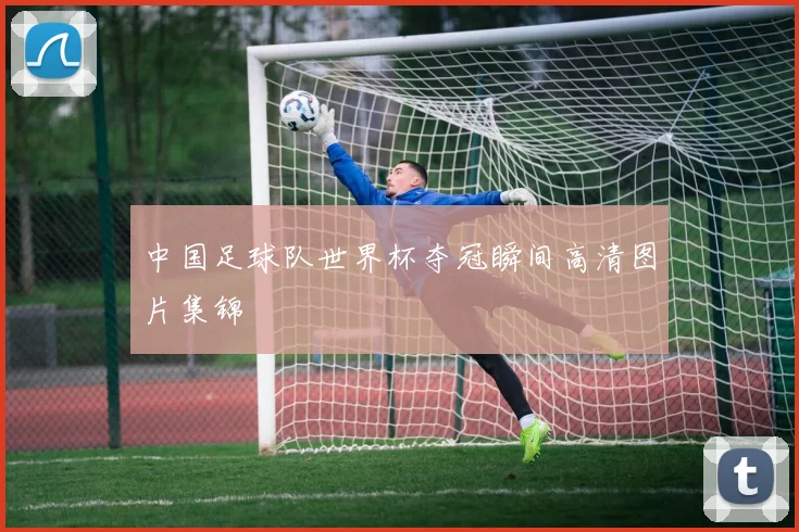 中国足球队世界杯夺冠瞬间高清图片集锦