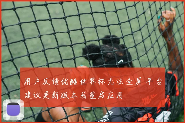 用户反馈优酷世界杯无法全屏 平台建议更新版本或重启应用