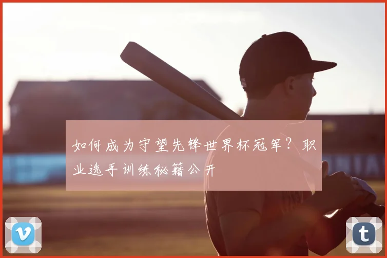 如何成为守望先锋世界杯冠军？职业选手训练秘籍公开