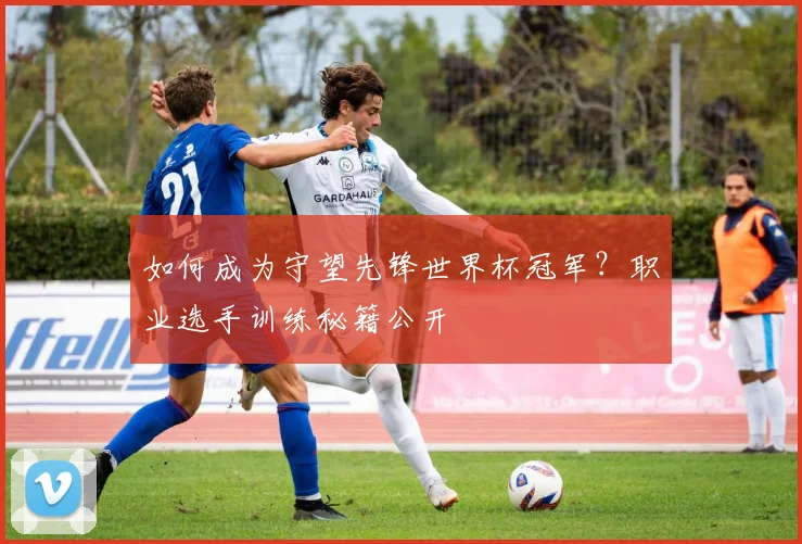 如何成为守望先锋世界杯冠军？职业选手训练秘籍公开