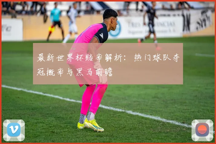 最新世界杯赔率解析：热门球队夺冠概率与黑马前瞻