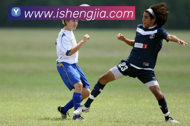 九游体育手机官网入口APP 封面图